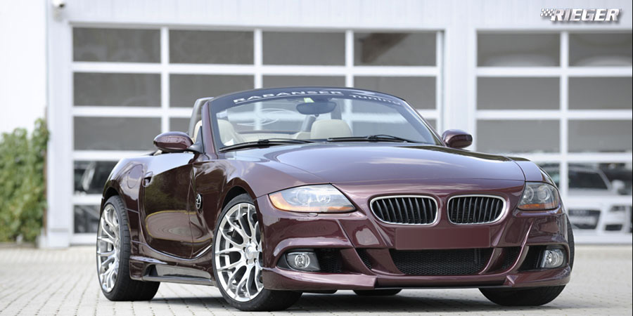 image link to rieger z4