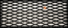 ICTS Mesh for RSR bumper