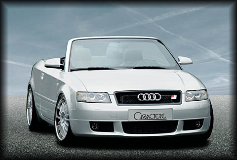 Spoiler per Audi A4 B6 Cabrio