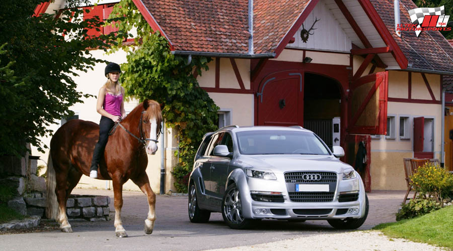 JE_widebody_Q7056_stable_horse_zplus3